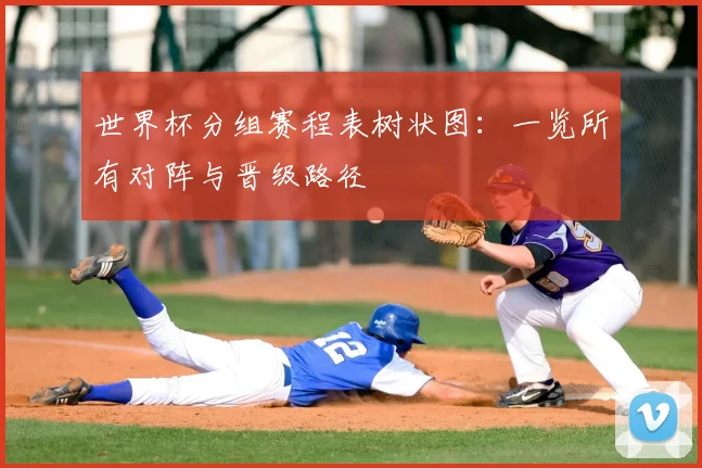 世界杯分组赛程表树状图：一览所有对阵与晋级路径